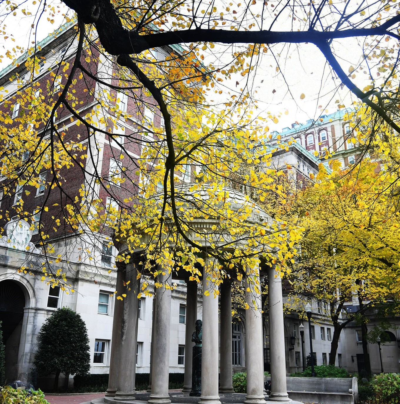 Campus in the Fall