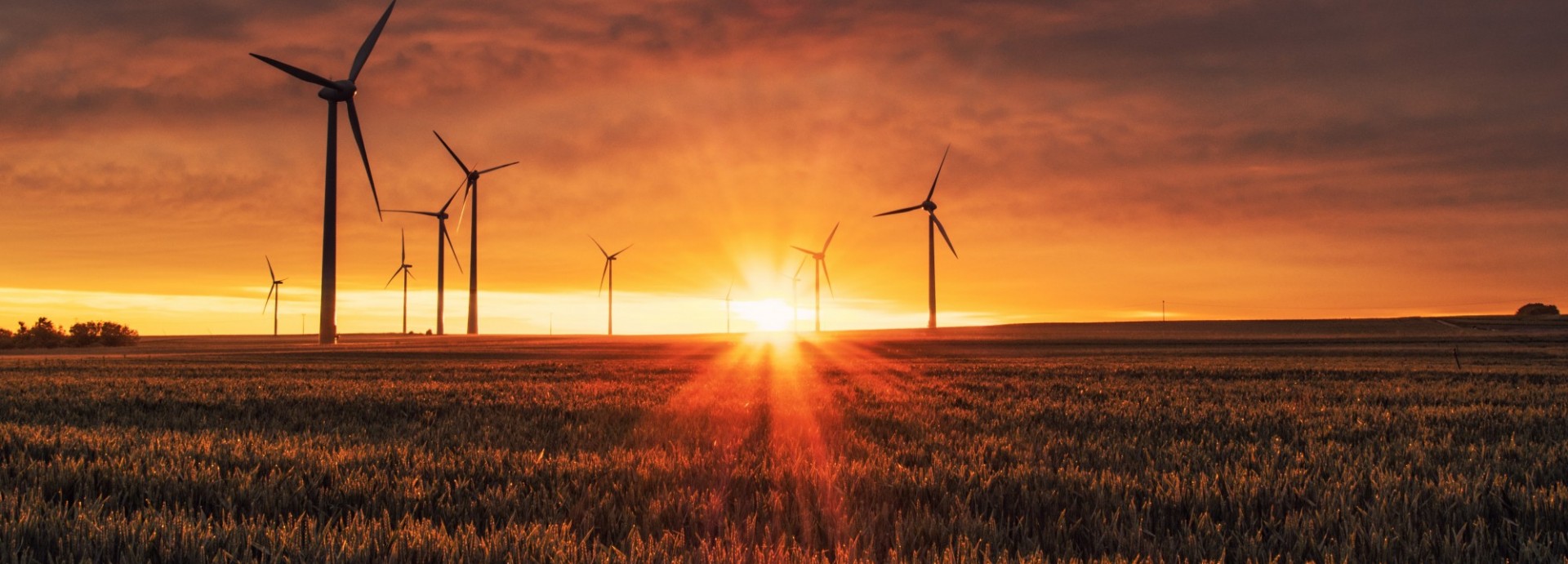 Windmill and Sunset